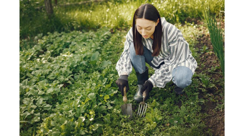 虫刺されのかゆみが止まらない人必見｜対処法やぶり返す可能性はある？